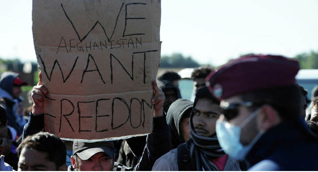 Thousands of Afghan Refugees Want to Leave Germany and  Return Home: IoM